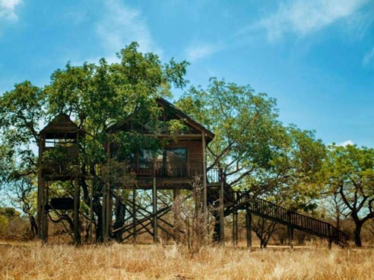 Ein Baumhaus auf Stelzen in einem Feld