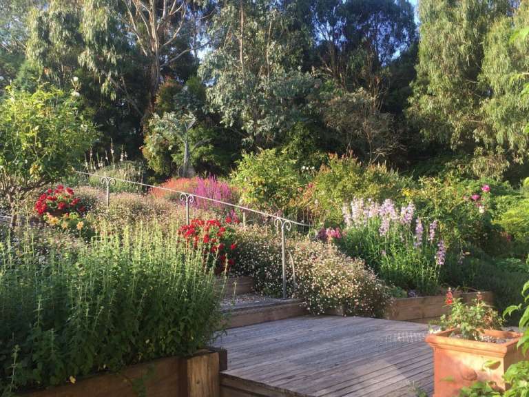 Ein Garten mit vielen Blumen und einem Holzdeck