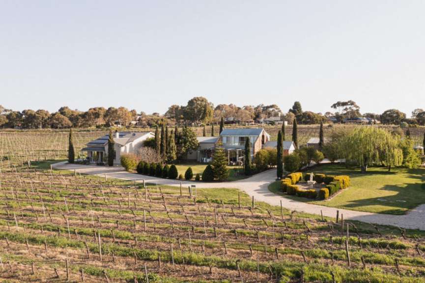 Ein Weinberg mit einem Haus im Hintergrund