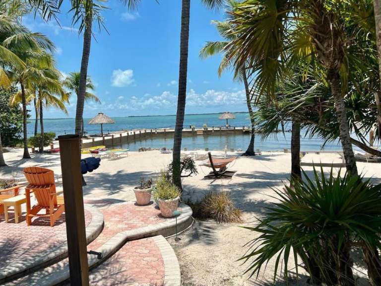 Ein Strand mit vielen Stühlen und Palmen
