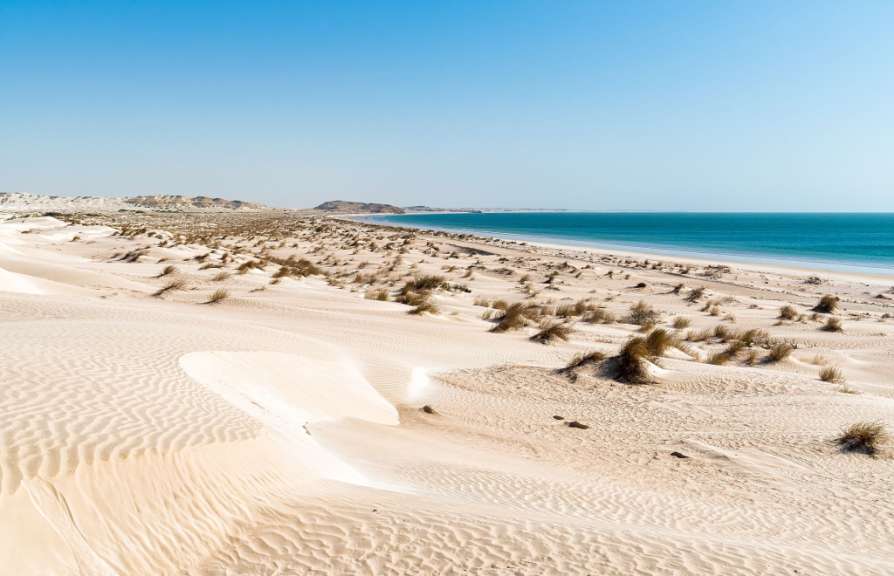 Eine sandige Wüste mit einem Strand im Hintergrund