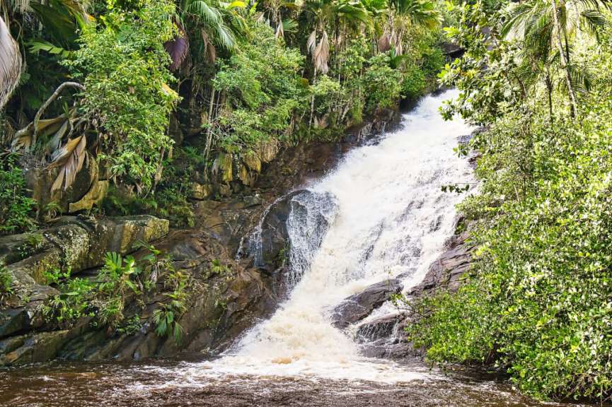 Ein Wasserfall inmitten eines tropischen Dschungels