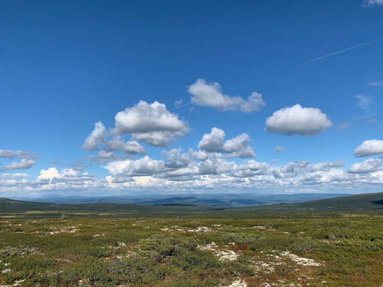 Ein blauer Himmel mit weißen Wolken über einem grünen Feld