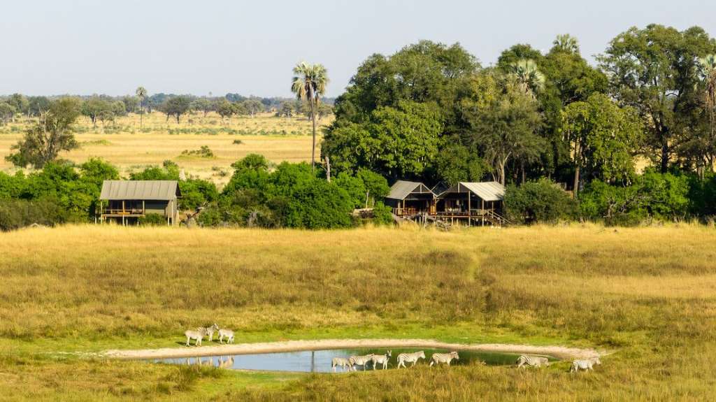 Eine Herde Zebras steht in einem Feld neben einem Teich