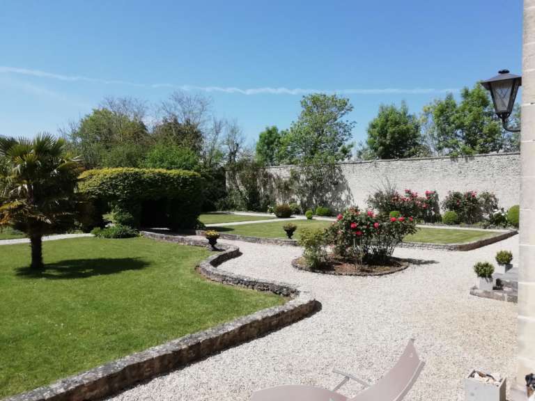 Ein Garten mit Gras und Bäumen an einem sonnigen Tag