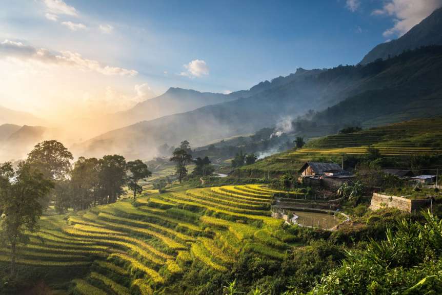Reisfelder bei Sonnenuntergang: Sapa