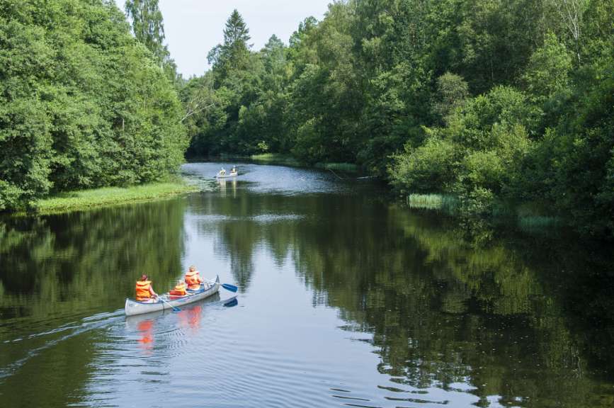 Eine Gruppe von Menschen paddelt in einem Kanu auf einem Fluss