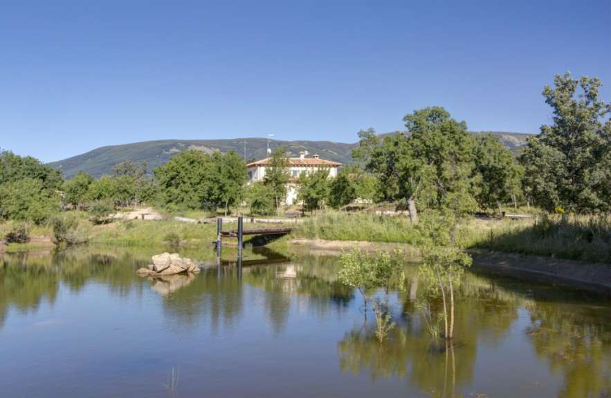 Eine Brücke über einen Teich mit einem Gebäude im Hintergrund