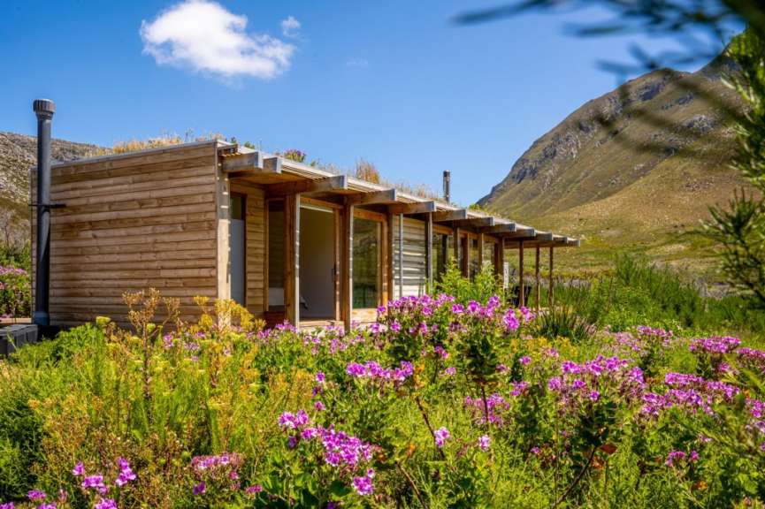 Ein modernes Holzhaus mit Gründach und Glasfronten ist von üppiger, blühender Vegetation umgeben, im Hintergrund erheben sich sanft ansteigende, grasbewachsene Hügel unter einem klaren blauen Himmel mit einer einzelnen Wolke.