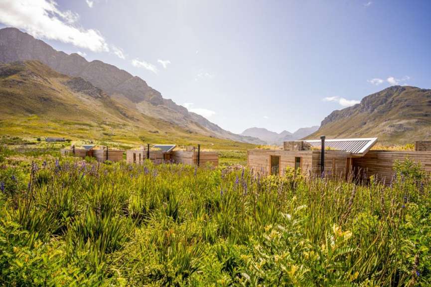 Helle, moderne Holzhäuser mit Gründächern sind inmitten einer üppigen, blühenden Berglandschaft mit hohen Bergen im Hintergrund zu sehen.