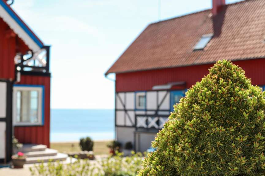 Ein Baum vor einem roten Haus mit der Aufschrift nxxx