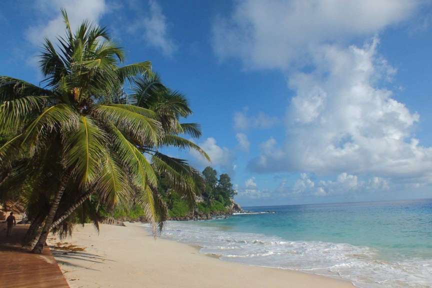 Ein Strand mit Palmen und einem blauen Himmel