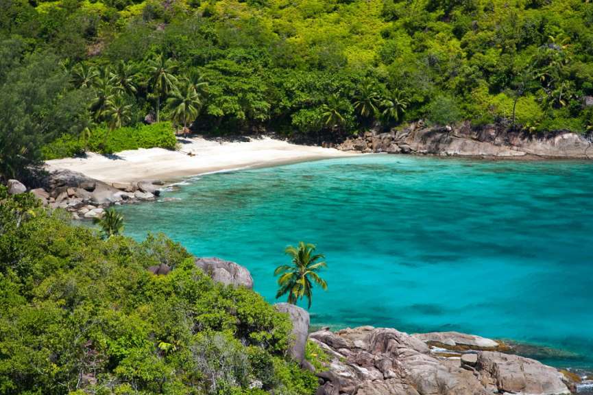 Ein tropischer Strand mit weißem Sand und blauem Wasser umgeben von Bäumen