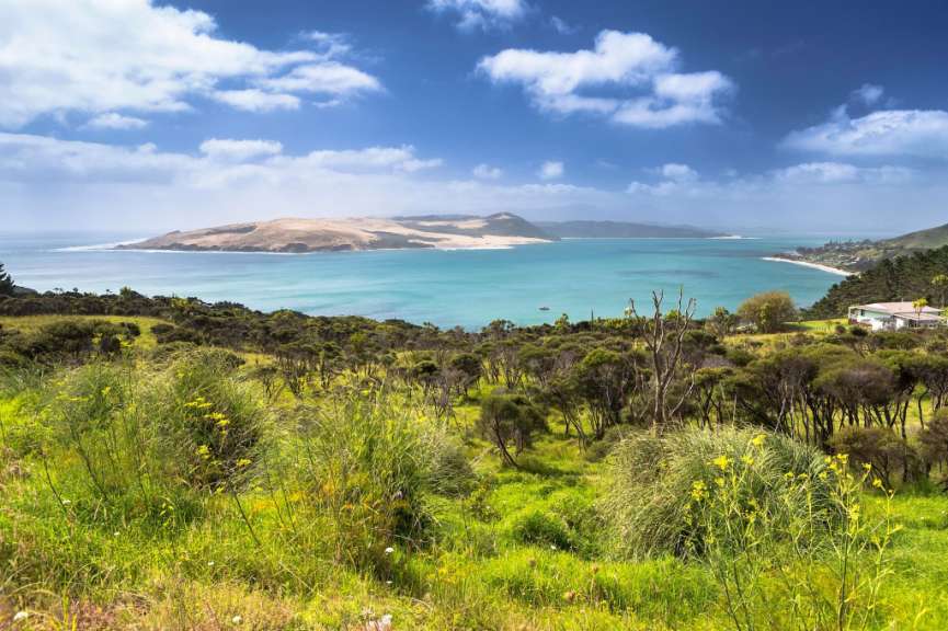 Ein Blick auf einen See mit einem kleinen Hügel im Hintergrund