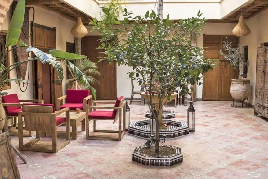 Ein Wohnzimmer mit Möbeln und einem Baum im Mittelpunkt