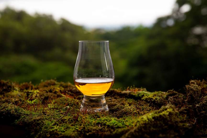 Ein Glas Whisky sitzt auf einem Stück Moos