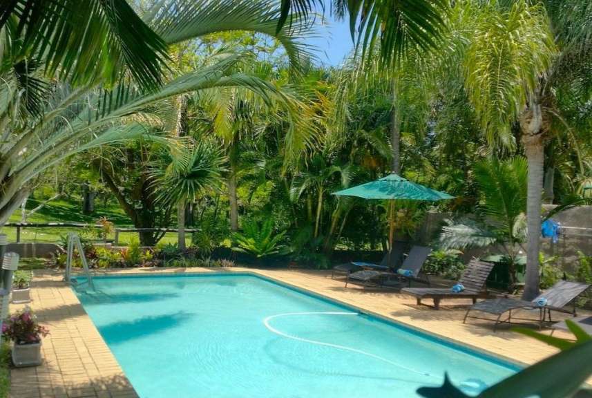 Ein großer Swimmingpool umgeben von Palmen und Stühlen