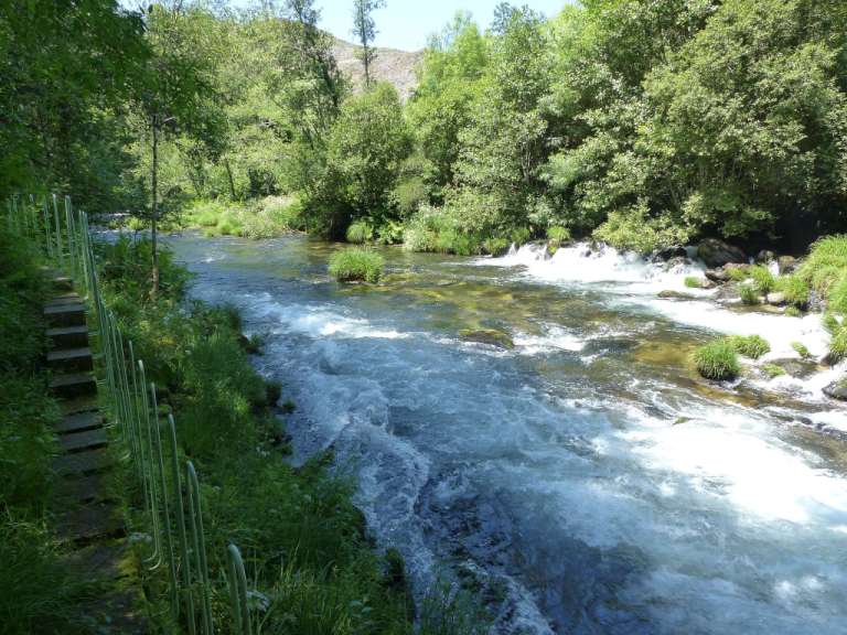 Heidrun