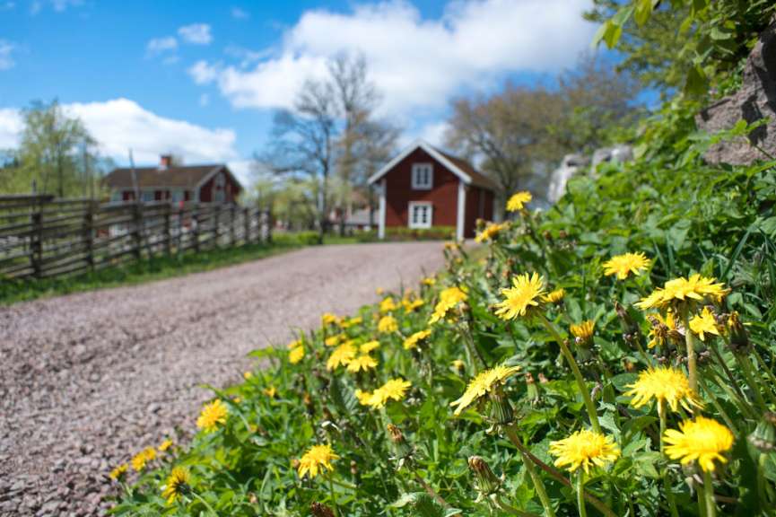 Ein Stück schwedische Geschichte: Åsens by