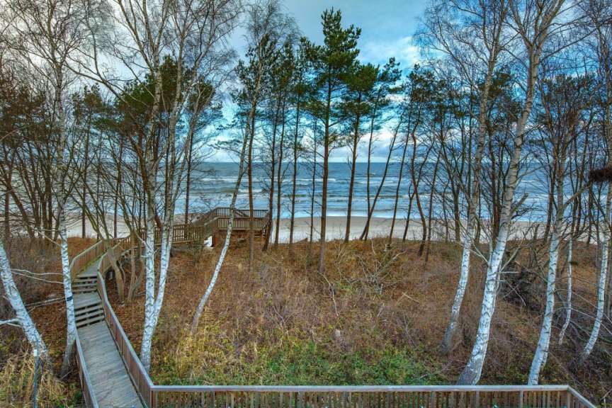 Ein Holzsteg führt durch einen Wald zum Strand