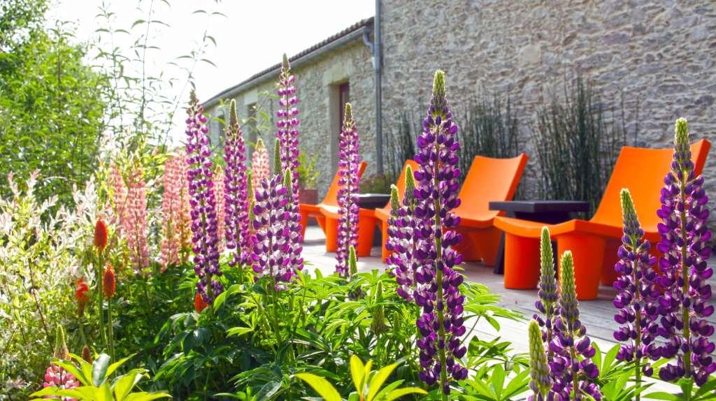 Ein Garten mit lila Blumen und orangefarbenen Stühlen