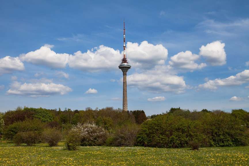 Ein Turm steht inmitten eines Feldes mit Bäumen