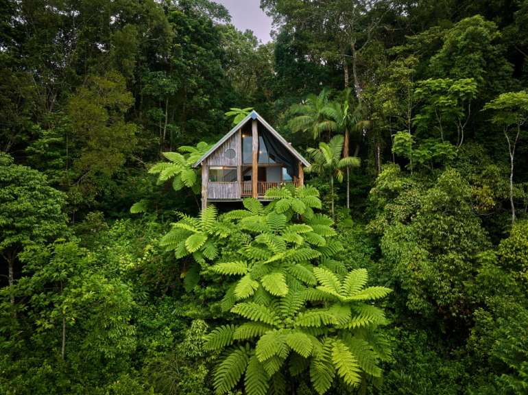 Ein Baumhaus inmitten eines tropischen Dschungels