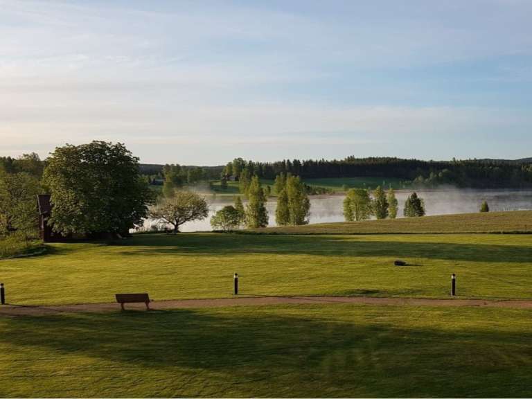 Ein Feld mit Bäumen und einem See im Hintergrund