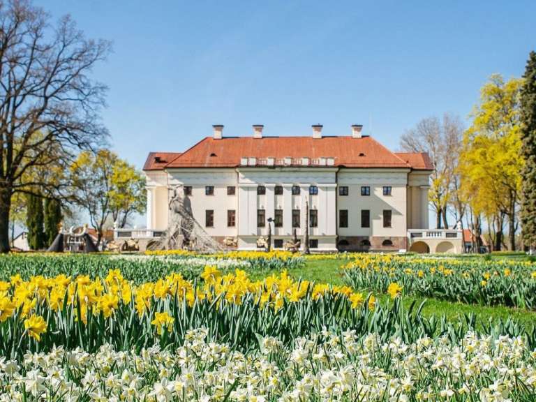 Ein großes weißes Gebäude mit einem roten Dach steht hinter einem Feld mit gelben und weißen Blumen