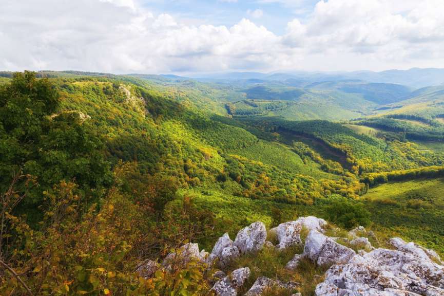Eine schöne Landschaft mit Bergen und Wäldern an einem bewölkten Tag