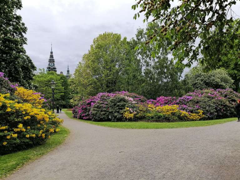 Eine Person geht durch einen Park mit vielen Blumen