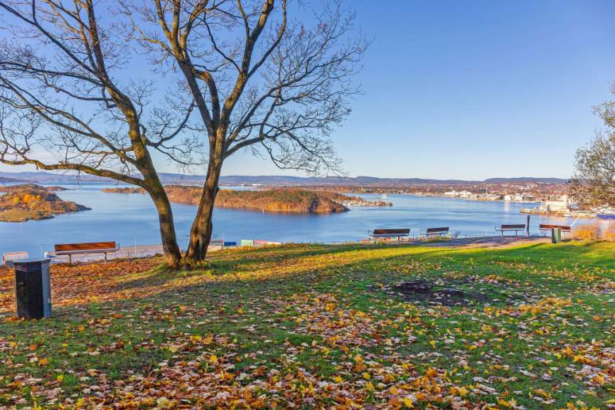 Ein Park mit Bänken und einem Baum mit Blick auf einen See