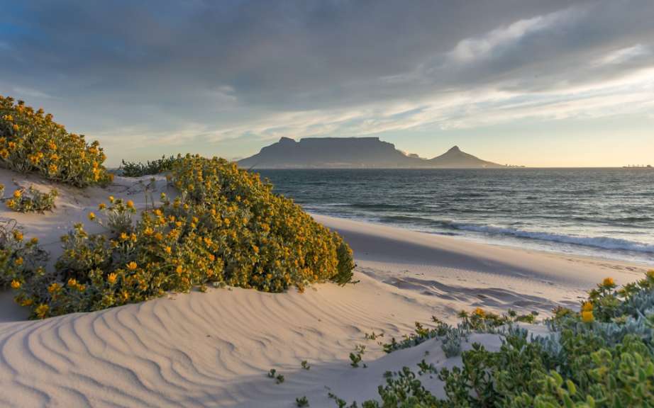 Ein sandiger Strand mit einem Berg im Hintergrund