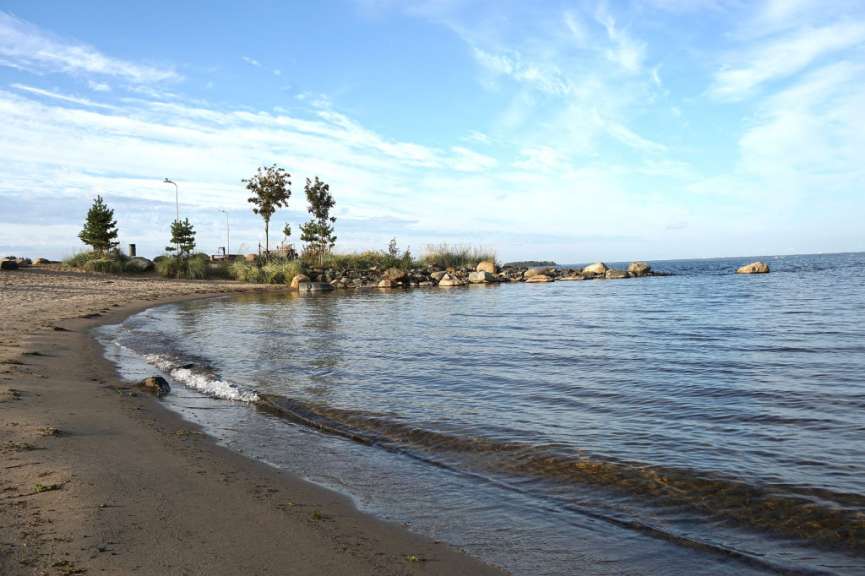 Ein Strand mit Bäumen und Felsen in der Nähe des Wassers
