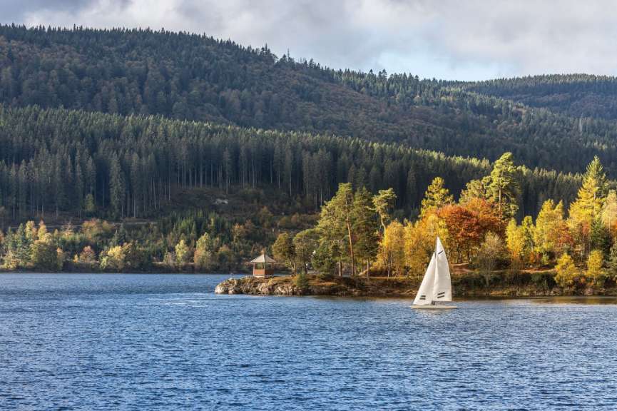 Ein weißes Segelboot schwimmt auf einem See