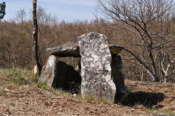 Dieses Bild zeigt ein Hünengrab inmitten eines Waldes mit kahlen Bäumen.