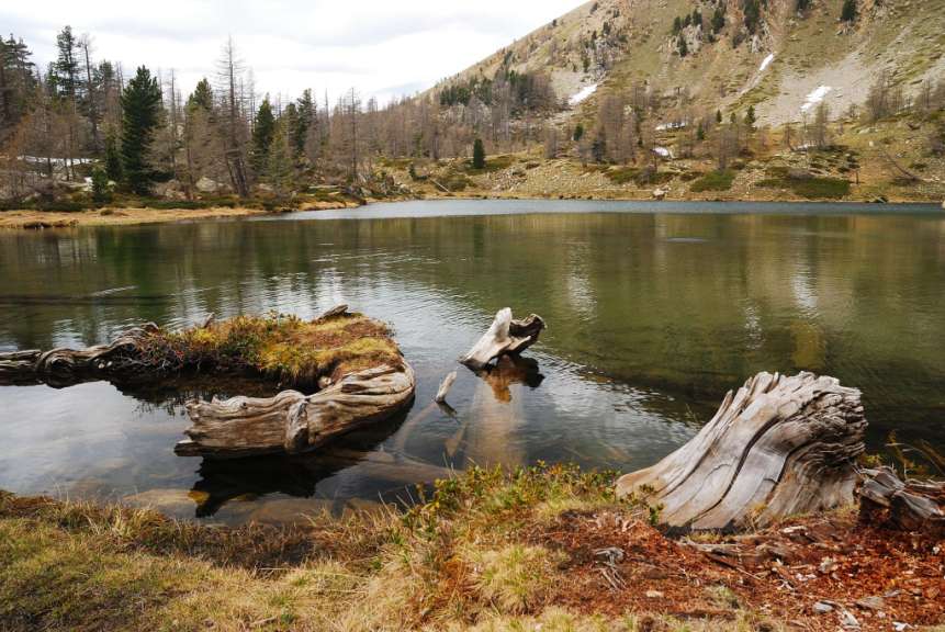 Ein See mit einem Baumstamm im Wasser