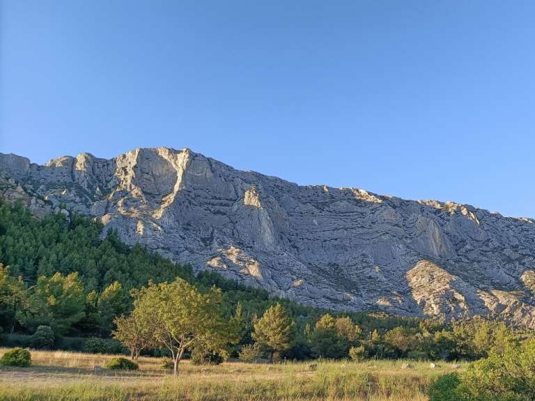 Ein Berg mit Bäumen und Gras davor
