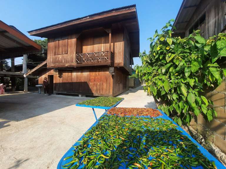 Neben einem hölzernen Haus steht ein Tisch mit grünen Paprikan darauf