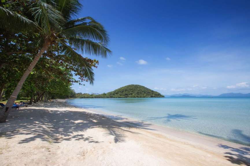 Ein Strand mit Palmen und einem kleinen Hügel im Hintergrund