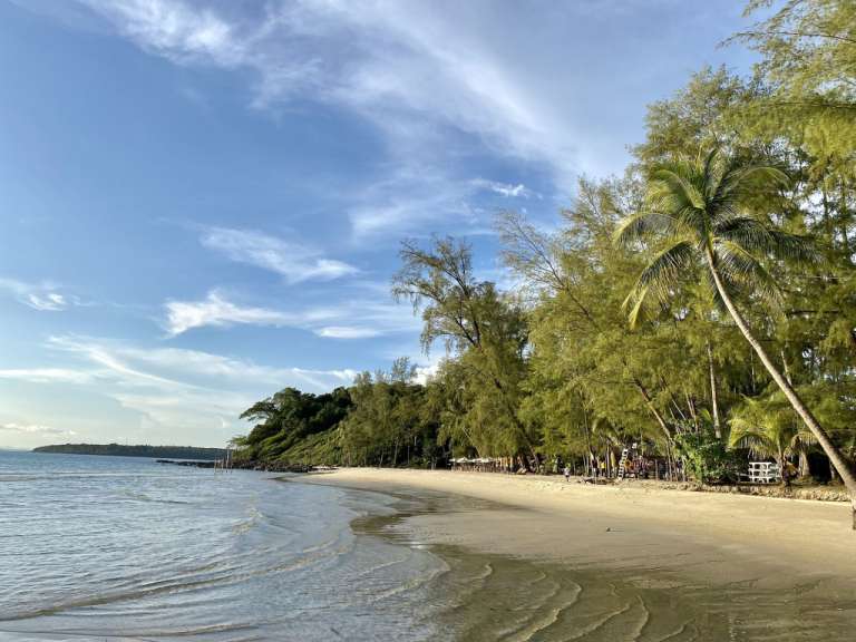 Ein Strand mit Palmen und Bäumen an einem sonnigen Tag