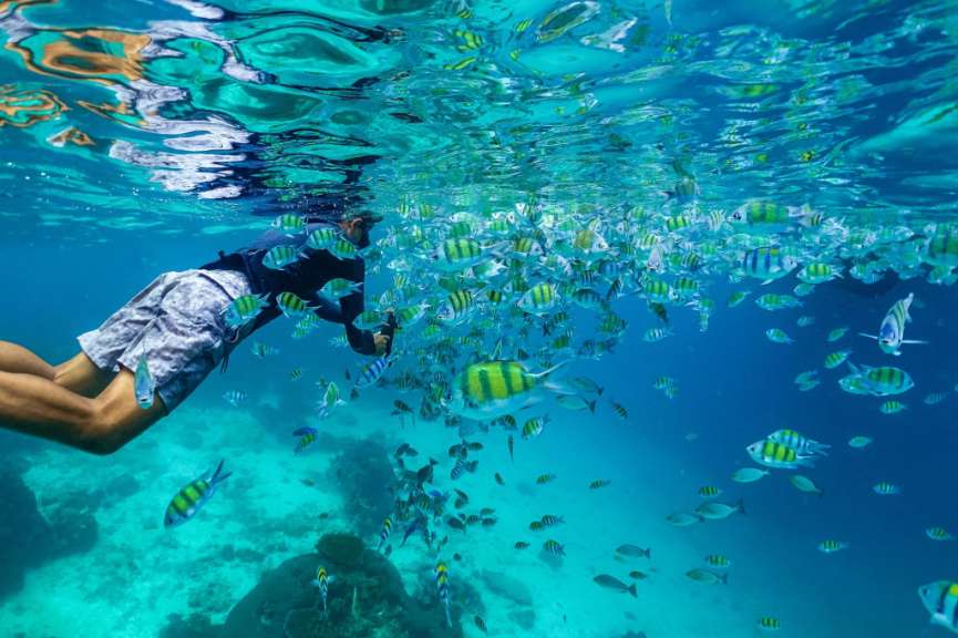 Ein Mann schwimmt in einem Meer voller Fische