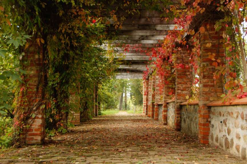 ©Barbara Harbecke Eine Pergola aus Backsteinen mit roten und grünen Blättern
