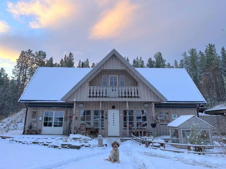 Ein Hund steht vor einem schneebedeckten Haus