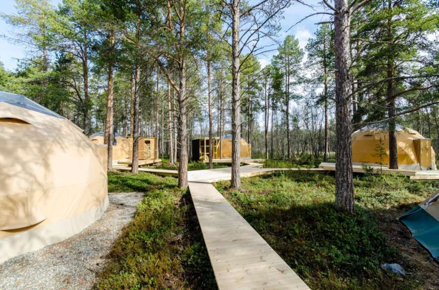 Ein Holzsteg führt durch einen Wald zwischen zwei Gebäuden