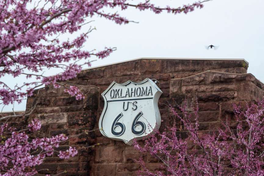 Ein Schild der Route 66 ist vor einer Ziegelmauer und blühenden Bäumen zu sehen.