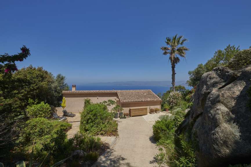 Ein Haus mit Blick auf das Meer und eine Palme
