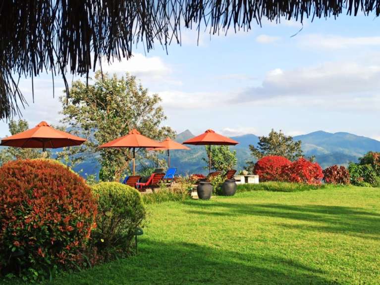 Ein garten mit roten schirmen und blauen stühlen