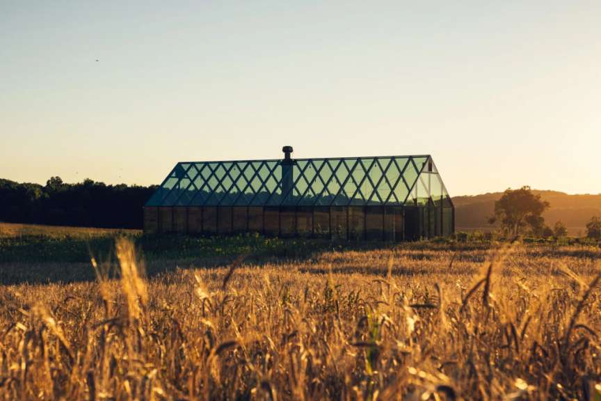 Ein Feld mit einem Glashaus im Hintergrund