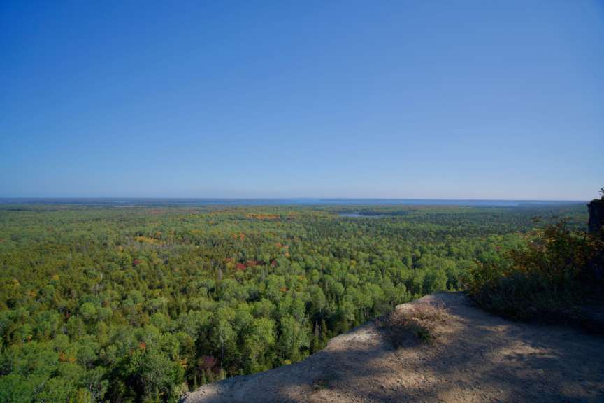 Ein Blick auf einen Wald mit einem blauen Himmel im Hintergrund